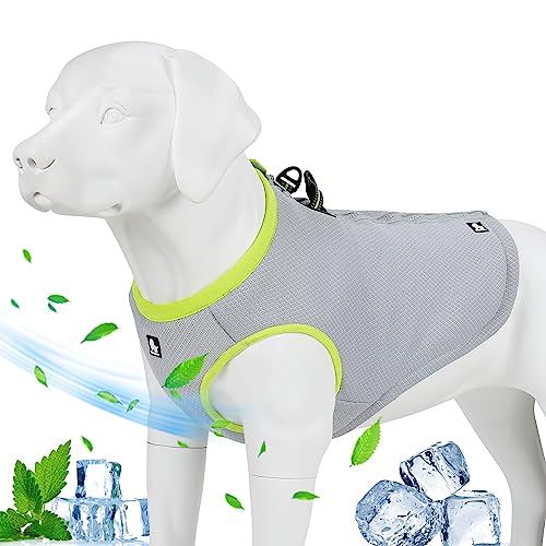 JUXZH Truelove Kühlweste für Hunde, mit verstellbarem Reißverschluss, für Outdoor-Jagd, Training und Camping JUXZH Truelove Kühlweste für Hunde, mit verstellbarem Reißverschluss, für Outdoor-Jagd, Training und Camping von juxzh