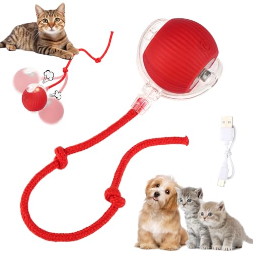 jwogngls Interaktives Katzenspielzeug, Interaktives Hundespielzeug Ball, Interaktives Katzenspielzeug Elektrisch,Intelligentes Katzenspielzeug 360° Automatisch Katzenspielzeug für Katzen (Rot) jwogngls Interaktives Katzenspielzeug, Interaktives Hundespielzeug Ball, Interaktives Katzenspielzeug Elektrisch,Intelligentes Katzenspielzeug 360° Automatisch Katzenspielzeug für Katzen (Rot) von jwogngls