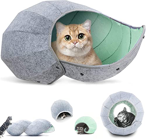 K-1 Katzenspielzeug Bälle Indoor Katzen Tunnel Tube Interaktive 8 in 1 Bett Höhle Kondos Tragbares & faltbares Multifunktions-Kratzfestes Spaßspielzeug (M, Grün) von k1