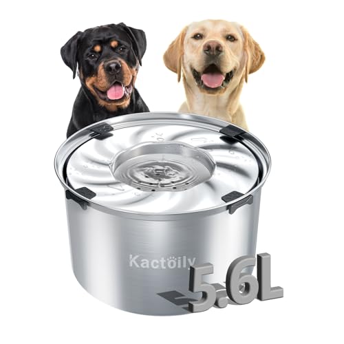 1,5 Gallonen Hund Wassernapf, 5,6 l / 5,6 l Edelstahl Hundenäpfe Kein Verschütten Wassernapf für Hunde, Slow Feeder Hundenäpfe Große Rasse, Auslaufsicher, Langsamer Wassernapf für unordentliche 1,5 Gallonen Hund Wassernapf, 5,6 l / 5,6 l Edelstahl Hundenäpfe Kein Verschütten Wassernapf für Hunde, Slow Feeder Hundenäpfe Große Rasse, Auslaufsicher, Langsamer Wassernapf für unordentliche von kactoily