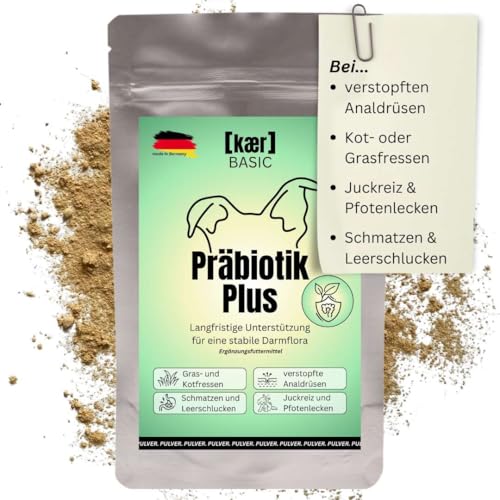 kaer Basic Präbiotik Plus Pulver für Hunde, 200g - Probiotika zur Futterergänzung, Darmflora aufbauen, Darmbakterien, Darmsanierung Ergänzungsmittel, Darmgesundheit bei Durchfall kaer Basic Präbiotik Plus Pulver für Hunde, 200g - Probiotika zur Futterergänzung, Darmflora aufbauen, Darmbakterien, Darmsanierung Ergänzungsmittel, Darmgesundheit bei Durchfall von kaer basic