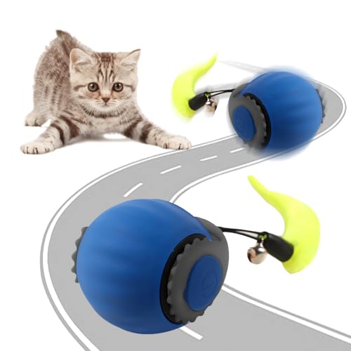 kailisi Interaktives Katzenspielzeug Ball, 2025 Neu Smart Automatisch Rollender Haustierball, Katzenballspielzeuge Interaktive Automatisch Drehbare 360° Kugel Katzen Spielzeug (Blau,2Pcs) von kailisi
