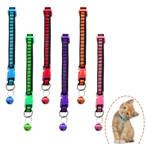 KAIYAYA 5 Stück Katzenhalsband Verstellbares Sicherheits Halsband Katze mit Glocke und Sicherheitsverschluss 13-33cm Katzenhalsbänder Leuchtenden Farben Katzen Halsband für Alle Hauskatzen KAIYAYA 5 Stück Katzenhalsband Verstellbares Sicherheits Halsband Katze mit Glocke und Sicherheitsverschluss 13-33cm Katzenhalsbänder Leuchtenden Farben Katzen Halsband für Alle Hauskatzen von kaiyaya
