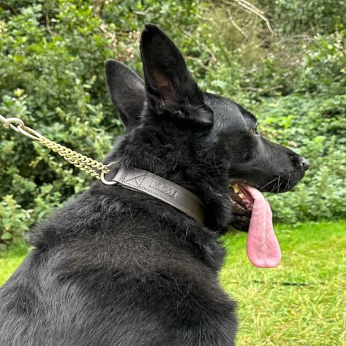 Kamboj9 K9 handgefertigtes Martingal-Hundehalsband aus Leder, 100 % Messing, geeignet für mittelgroße und extra große Hunderassen. Inklusive Apfel-Airtag-Hundehalsbandtasche aus Leder (groß) von kamboj9