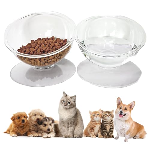Kathson Acryl-Hundenäpfe, erhöhter Katzen-Hundenapf, Ständer, erhöhter Futterspender für Haustiere, 15° geneigter Katzennapf mit doppeltem Futter- und Wassernapf für Welpen, Katzen, kleine Hunde von kathson
