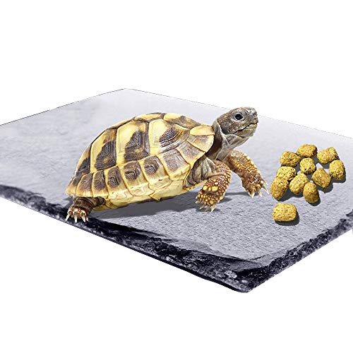 Reptilien-Abdeckplattform Schildkröte Felsen Teller Schildkröte Badebereich Futternapf Ruhe Terrasse von kathson