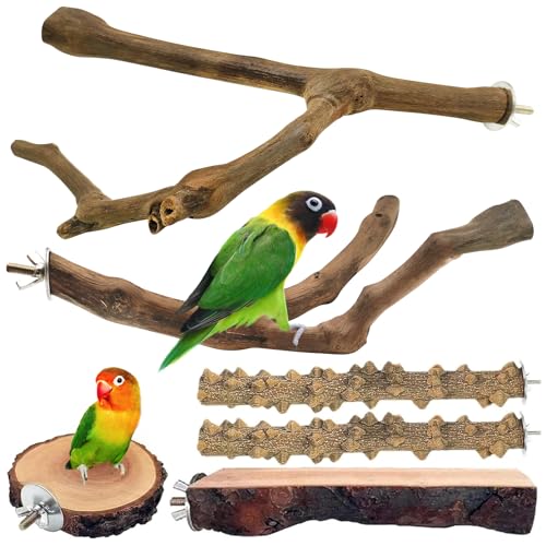 Vogelständer für Papageien, natürlich von kathson