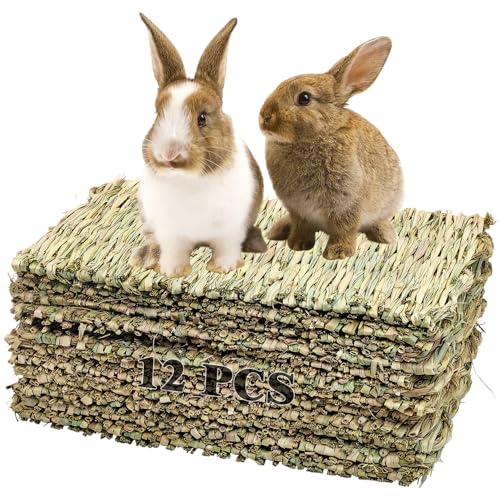 kathson 12 x große Kaninchen-Grasmatte, natürliches Gras, gewebte Matte, Kaninchen, Kauspielzeug, Gras, Bettwäsche, Nest für Kleintiere, Kaninchen, Kaninchen, Meerschweinchen, Hamster, Chinchillas, kathson 12 x große Kaninchen-Grasmatte, natürliches Gras, gewebte Matte, Kaninchen, Kauspielzeug, Gras, Bettwäsche, Nest für Kleintiere, Kaninchen, Kaninchen, Meerschweinchen, Hamster, Chinchillas, von kathson