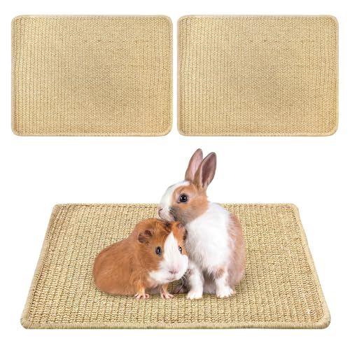 kathson 2 x Kaninchen-Kratzmatte (30 x 40 cm) von kathson