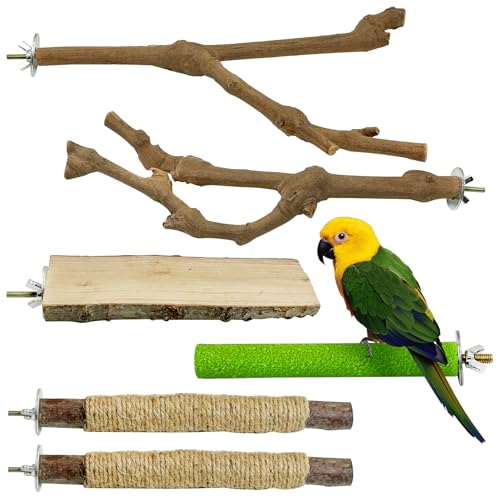 kathson 5 Stück natürliche Papageien-Sitzstange für Käfig, aus Holz, Vogelstangen, Trauben, Vogelstock, Sittiche, Klettern, stehende Äste, Spielzeug, kaubar, Käfigzubehör für kleine Wellensittiche, von kathson