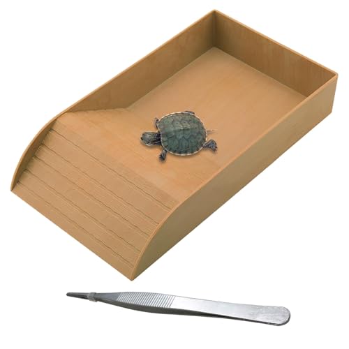 kathson Futternapf für Reptilien-Schildkröten, mit Rampe und Sonnenplattform, Kunststoff, Futter- und Wassernapf, auch passend für Badehörnchen, Frösche, Eidechsen, Amphibien (braun, nachgeahmtes kathson Futternapf für Reptilien-Schildkröten, mit Rampe und Sonnenplattform, Kunststoff, Futter- und Wassernapf, auch passend für Badehörnchen, Frösche, Eidechsen, Amphibien (braun, nachgeahmtes von kathson