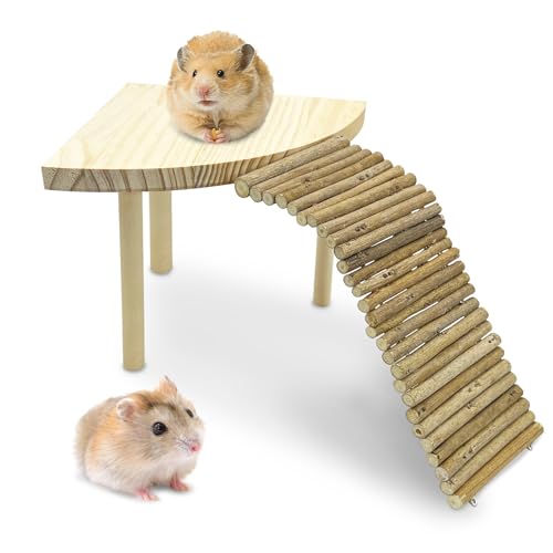 kathson Hamsterplattform aus Holz mit Leiter, natürliche Stehplattform für Kleintiere, Meerschweinchenkäfig, Landschaftsbau für kleine Tiere, syrische Ratte, goldener Bär, Chinchilla (Sektor) von kathson