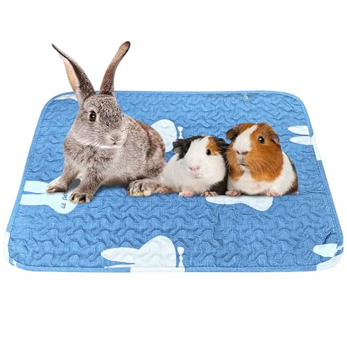 kathson Kaninchenkäfig-Einlagen, waschbar, super saugfähig, Schlafunterlage für Meerschweinchen, Kleintiere, wiederverwendbare Fleece-Bettwäsche, rutschfeste Matten für Kaninchen, Igel, Kätzchen kathson Kaninchenkäfig-Einlagen, waschbar, super saugfähig, Schlafunterlage für Meerschweinchen, Kleintiere, wiederverwendbare Fleece-Bettwäsche, rutschfeste Matten für Kaninchen, Igel, Kätzchen von kathson