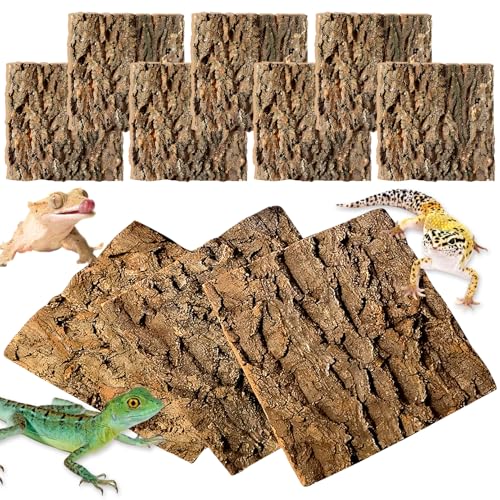 kathson Korkfliesen-Hintergrund, Rinde, 20 cm L x 20 cm B, Reptilien-Tank-Hintergrund, Terrarium, Wanddekoration, natürliche Reptilien-Klettermatte für Spinne, Gecko, Eidechse, Chamäleon, Bartdrache, kathson Korkfliesen-Hintergrund, Rinde, 20 cm L x 20 cm B, Reptilien-Tank-Hintergrund, Terrarium, Wanddekoration, natürliche Reptilien-Klettermatte für Spinne, Gecko, Eidechse, Chamäleon, Bartdrache, von kathson