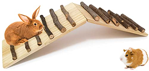 kathson Meerschweinchen Holz Brücke Kaninchen Kletterleiter Natur Kleintier Rampe Holz Ratte Spielzeug Käfig Habitat Zubehör für Häschen Hamster Rennmäuse Mäuse Chinchillas Igel kathson Meerschweinchen Holz Brücke Kaninchen Kletterleiter Natur Kleintier Rampe Holz Ratte Spielzeug Käfig Habitat Zubehör für Häschen Hamster Rennmäuse Mäuse Chinchillas Igel von kathson