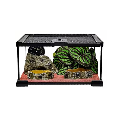 kathson Mini-Terrarium-Tank für Reptilien, Glas, 20.1x20.1x14.5 cm, Amphibien, Lebensraum, Vollsicht, visuell ansprechend, Schiebefläche für Bartagchen, Eidechsen, Geckos, Einsiedler, Krabben, Frosch von kathson