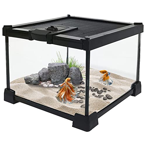 kathson Mini-Terrariumbehälter für Reptilien, transparent, Vollsicht, Amphibien, Zuchtkasten, ansprechend, Mini-Reptilien-Gehäuse, 20,1 x 20,1 x 14,5 cm von kathson
