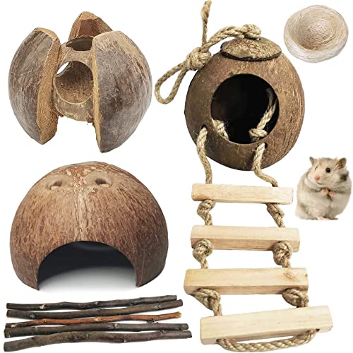 kathson Natürliche Kokoshütte Hamster Versteck Haustierhöhle Kleintierkäfig Habitat Dekor hängende Meerschweinchen Spielzeug mit Leiter für Rennmäuse, Ratten, Mäuse, Spielzucht, 9 Stück von kathson