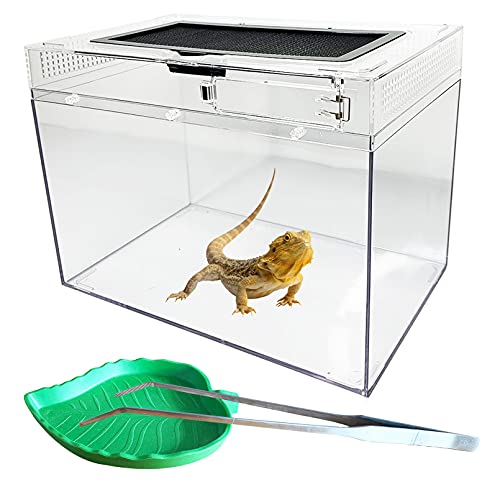 kathson Reptilien-Futterbox für Aquarium, explosionsgeschütztes Glas, Habitat, Schlüpfbehälter mit Pinzette und Blatt, Reptilienschale für Schlange, Frosch, Eidechse, Spinne, Schildkröte, groß von kathson