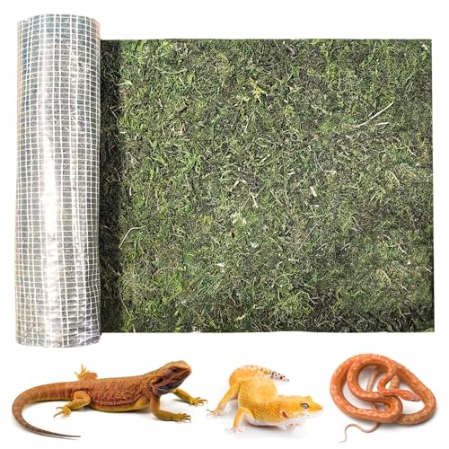 kathson Reptilienteppich, natürliche Moosmatte für Terrarium, Bartagamen, Tankbodenbelag, grüner Substrateinsatz für Leopard, Gecko, Einsiedlerkrebse, Eidechse, Schildkröte (120 x 30 cm) von kathson
