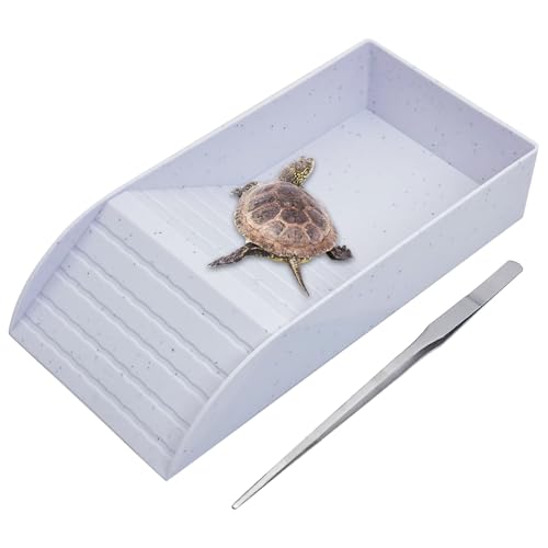 kathson Schildkröten-Futternapf mit Rampe und Sonnenplattform, Schildkröten-Wasser-Futternapf, Reptilienbadenpool für Amphibien, Schildkröte, Bartdrache, Eidechse, Frosch, Schlange, Gecko, Skorpion kathson Schildkröten-Futternapf mit Rampe und Sonnenplattform, Schildkröten-Wasser-Futternapf, Reptilienbadenpool für Amphibien, Schildkröte, Bartdrache, Eidechse, Frosch, Schlange, Gecko, Skorpion von kathson