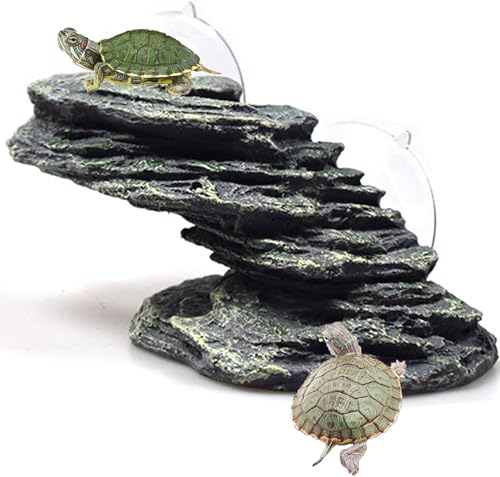 kathson Schildkröten mit Plattform von kathson