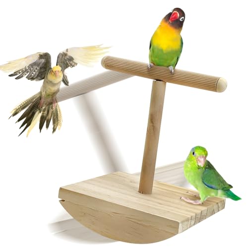 kathson Vogel-Trainingsständer für Sittiche, Spielplatz, Vogelsitzstange, tragbar, Tischplatte, Vogelsitzstange, Papageienständer, Sitzstangen, T-förmiger Vogelspielständer für Sittiche, Sittiche, von kathson