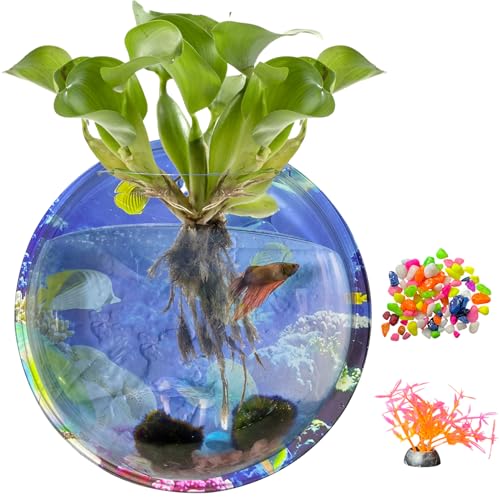 kathson Wand-Fischschale, Acryl, hängend, Aquarium, Wandmontage, Blase, Betta, Aquarium, Dekoration, Pflanze (23,5 cm) von kathson