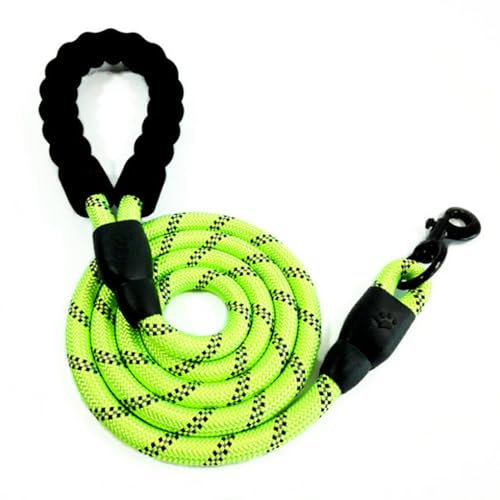 kawehiop Bequem zu tragende Hundeleine. Angenehme Spaziergänge mit dem pelzigen Freund. Geeignet für alle Hunde. Große Hundeleine aus Nylon. Haustiergeschirr, Grün + 1.2 m Länge kawehiop Bequem zu tragende Hundeleine. Angenehme Spaziergänge mit dem pelzigen Freund. Geeignet für alle Hunde. Große Hundeleine aus Nylon. Haustiergeschirr, Grün + 1.2 m Länge von kawehiop