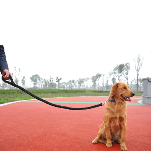 kawehiop Breite Anwendung Nylon Hundegeschirr Leine für Verschiedene Aktivitäten und Outdoor Abenteuer Nylon Hundeleine Hundeleine, Armeegrün, XL kawehiop Breite Anwendung Nylon Hundegeschirr Leine für Verschiedene Aktivitäten und Outdoor Abenteuer Nylon Hundeleine Hundeleine, Armeegrün, XL von kawehiop