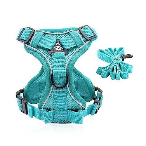 kawehiop Pet Harness Reflektierende, verstellbare Tierweste für Nylon Leine, Atmungsaktiver Traktions Brustgurt, Seil, Sicherheitsgurt, Wandern, Blau, S von kawehiop