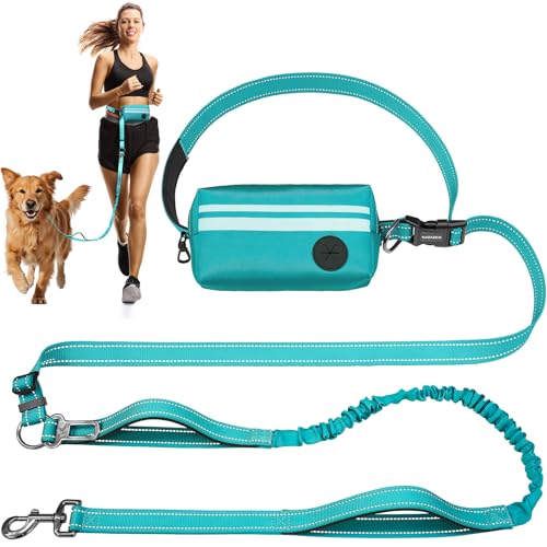 Hundeleine mit abnehmbarer Reißverschlusstasche, doppelt gepolsterten Griffen und strapazierfähigem Bungee zum Gehen, Joggen und Laufen, Grün Hundeleine mit abnehmbarer Reißverschlusstasche, doppelt gepolsterten Griffen und strapazierfähigem Bungee zum Gehen, Joggen und Laufen, Grün von kazazoo