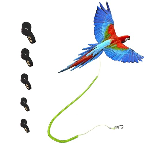 Papageien-Vogel-Geschirr mit Leine, bissfest, für draußen, mit 3 verschieden großen weichen Fußschlaufen (verbesserte Version des Knöchelrings) von kcrygogo