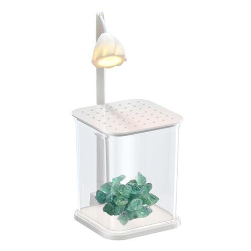 Rechteckiger Aquariumtank Mit LED -Licht - Desktop Betta Fisch Betrachten Landschaftsglasfischtank, Dekorativer Ökologischer Fischtank Mit Grünem Kristall von kdkskss