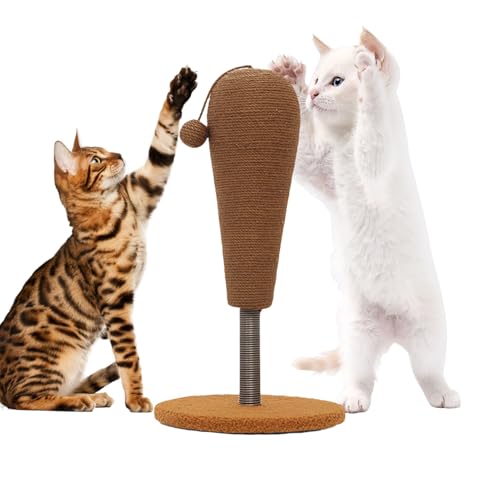 kdkskss Für Kätzchen | Kratzbrett Für Kitten,Möbelschoner Mit Hängendem Ball Spielzeug Für Wohnung Haus Wohnzimmer Spielbereich Verhaltenstraining kdkskss Für Kätzchen | Kratzbrett Für Kitten,Möbelschoner Mit Hängendem Ball Spielzeug Für Wohnung Haus Wohnzimmer Spielbereich Verhaltenstraining von kdkskss