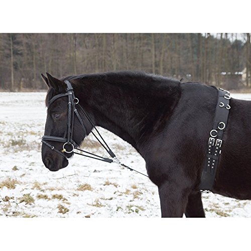 German Riding Gogue mit Martingalgabel schwarz Cob/Full von keine Angabe