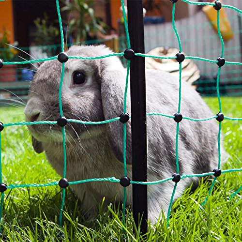 Kaninchen Netz, 12 m lang, 65 cm hoch - für höchste Hütesicherheit von keine Marke