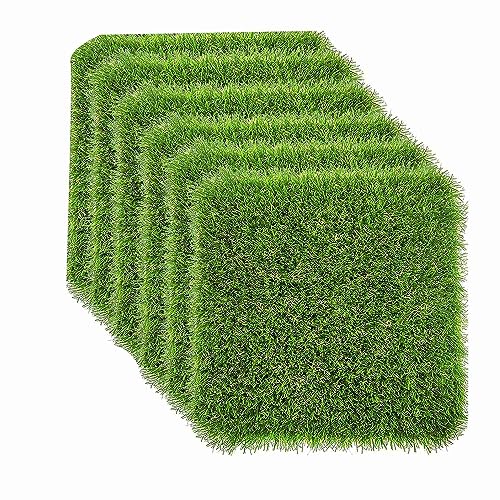 kekaa Hühnernestpaddies zum Ei Legen mit Gemüse-Schaschlik-Saitenfütterung, Waschbare Nestpaddies für Hühner, 6 Stück, Langlebig, Einfach zu Verwenden, Grün. von kekaa