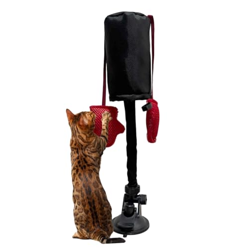 keloppasit Interaktives Katzen-Boxsack-Spielzeug, Boxsack, Spiel-Fitnessstudio für Kätzchen, Katzenspielzeug mit hängenden Boxhandschuhen, Haustier-Box-Übungsspielzeug für Zuhause von keloppasit