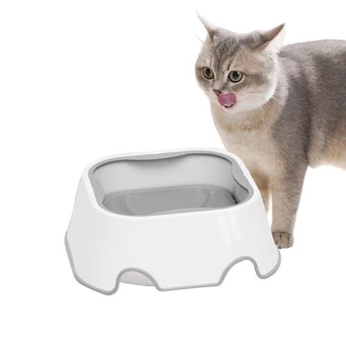 keloppasit Katzen Wassernapf, Wassernapf mit schwimmender Funktion für Katzen, Auslaufsicherer Trinkautomat Rutschfester Futternapf Für Kleine Hunde Kätzchen Kleintiere Trinken keloppasit Katzen Wassernapf, Wassernapf mit schwimmender Funktion für Katzen, Auslaufsicherer Trinkautomat Rutschfester Futternapf Für Kleine Hunde Kätzchen Kleintiere Trinken von keloppasit