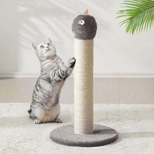 Keygarzone 55,9 cm Katzenkratzbaum, Sisal Katzenkratzbaum mit interaktivem Hängespielzeug, Monster Kratzstange für Indoor-Katzen, niedlicher Katzenkratzbaum für Kätzchen und große Katzen, Grau von keygarzone