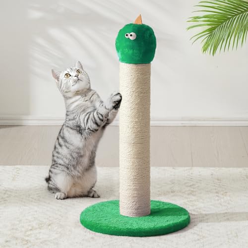 Keygarzone 55,9 cm Katzenkratzbaum, Sisal Katzenkratzbaum mit interaktivem Hängespielzeug, Monster Kratzstange für Indoor-Katzen, niedlicher Katzenkratzbaum für Kätzchen und große Katzen, Grün Keygarzone 55,9 cm Katzenkratzbaum, Sisal Katzenkratzbaum mit interaktivem Hängespielzeug, Monster Kratzstange für Indoor-Katzen, niedlicher Katzenkratzbaum für Kätzchen und große Katzen, Grün von keygarzone