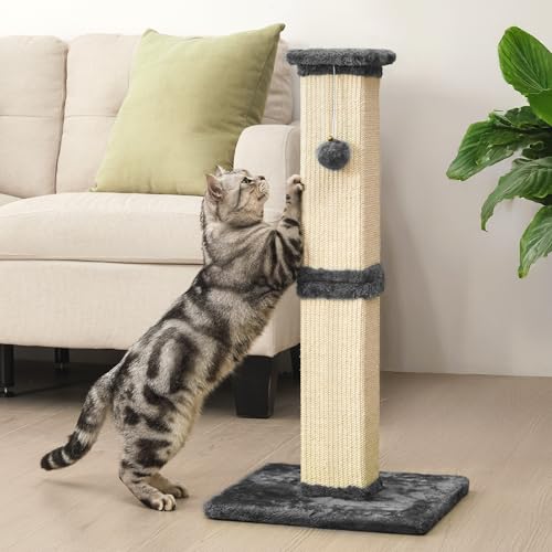 Keygarzone 81,3 cm Kratzbaum, Sisal-Kratzbaum mit hängendem Ball, Spielzeug, hohe Kratzstange für Indoor-Katzen, Katzenkratzbaum für Kätzchen und große Katzen, Grau Keygarzone 81,3 cm Kratzbaum, Sisal-Kratzbaum mit hängendem Ball, Spielzeug, hohe Kratzstange für Indoor-Katzen, Katzenkratzbaum für Kätzchen und große Katzen, Grau von keygarzone