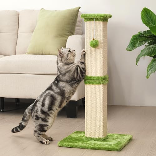 Keygarzone 81,3 cm Kratzbaum, Sisal-Kratzbaum mit hängendem Ball, Spielzeug, hohe Kratzstange für Indoor-Katzen, Katzenkratzbaum für Kätzchen und große Katzen, Grün Keygarzone 81,3 cm Kratzbaum, Sisal-Kratzbaum mit hängendem Ball, Spielzeug, hohe Kratzstange für Indoor-Katzen, Katzenkratzbaum für Kätzchen und große Katzen, Grün von keygarzone