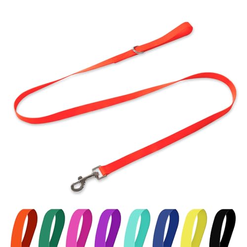 Kidding Pets Wasserdichte Hundeleine, 1,5 m, langlebig, geruchsdicht, mit starken Metallhaken, passend für kleine, mittelgroße oder große Hunde, Orange, 1,5 m – 1,9 cm Breite Kidding Pets Wasserdichte Hundeleine, 1,5 m, langlebig, geruchsdicht, mit starken Metallhaken, passend für kleine, mittelgroße oder große Hunde, Orange, 1,5 m – 1,9 cm Breite von kidding pets