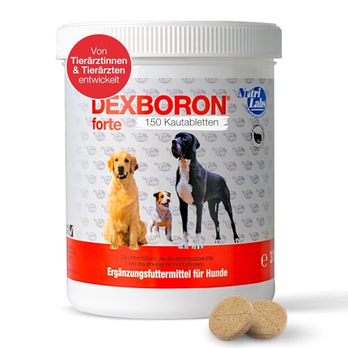 NutriLabs Dexboron® forte Hunde Kautabletten 150 STK. - Tabletten mit Teufelskralle für Hunde - Hunde Regenerationsmittel mit Weidenrinde, Weihrauchextrakt u.v.m. - Hunde Regenerationsmittel von NutriLabs