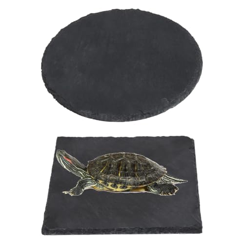 kiki fancy Schildkröten-Plattform, Reptilien-Sonnenplattform, Schildkrötenfelsen, 15 x 15 cm, quadratisch und kreisförmig, zwei Formen, passend für Schildkröten, Schieferpolster, Ruhe- und kiki fancy Schildkröten-Plattform, Reptilien-Sonnenplattform, Schildkrötenfelsen, 15 x 15 cm, quadratisch und kreisförmig, zwei Formen, passend für Schildkröten, Schieferpolster, Ruhe- und von kiki fancy