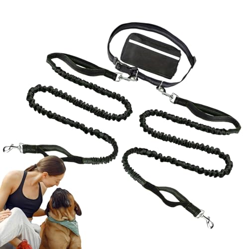 Doppelte Hundeleine, reflektierende Hundeleine aus Nylon mit doppeltem Kopf, robuste Hundeleine für das Rückruftraining mit Aufbewahrungstasche, Hundeleine für Dag-Spaziergänge und Trainingsbedarf Doppelte Hundeleine, reflektierende Hundeleine aus Nylon mit doppeltem Kopf, robuste Hundeleine für das Rückruftraining mit Aufbewahrungstasche, Hundeleine für Dag-Spaziergänge und Trainingsbedarf von kinrguiyuez
