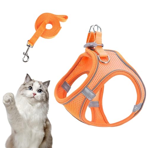 kinrguiyuez Hundegeschirr Mit Leinen | Anti-Zug Geschirr Mit Leine Für Hunde - Atmungsaktives Reflektierendes Welpen Katzen Geschirr Für Training Auto Reisen Wandern von kinrguiyuez