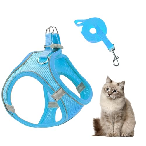 kinrguiyuez Hundegeschirr Mit Leinen - Verstellbares Hundegeschirr Mit Leinen Für Welpen Und Kleine Hunde - Atmungsaktives Reflektierendes Welpen Katzen Geschirr Für Training Auto Reisen Wandern von kinrguiyuez